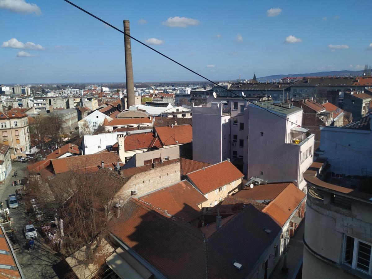 Apartment Africa Belgrad Dış mekan fotoğraf