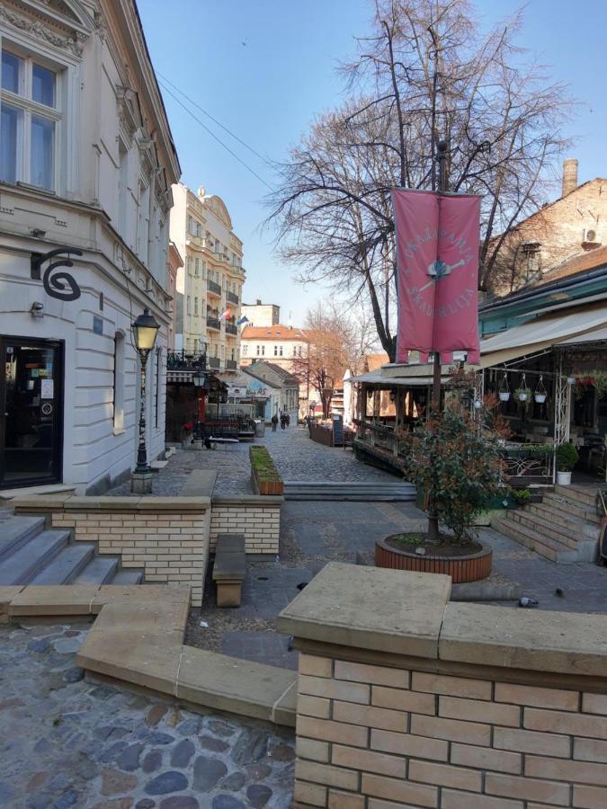 Apartment Africa Belgrad Dış mekan fotoğraf