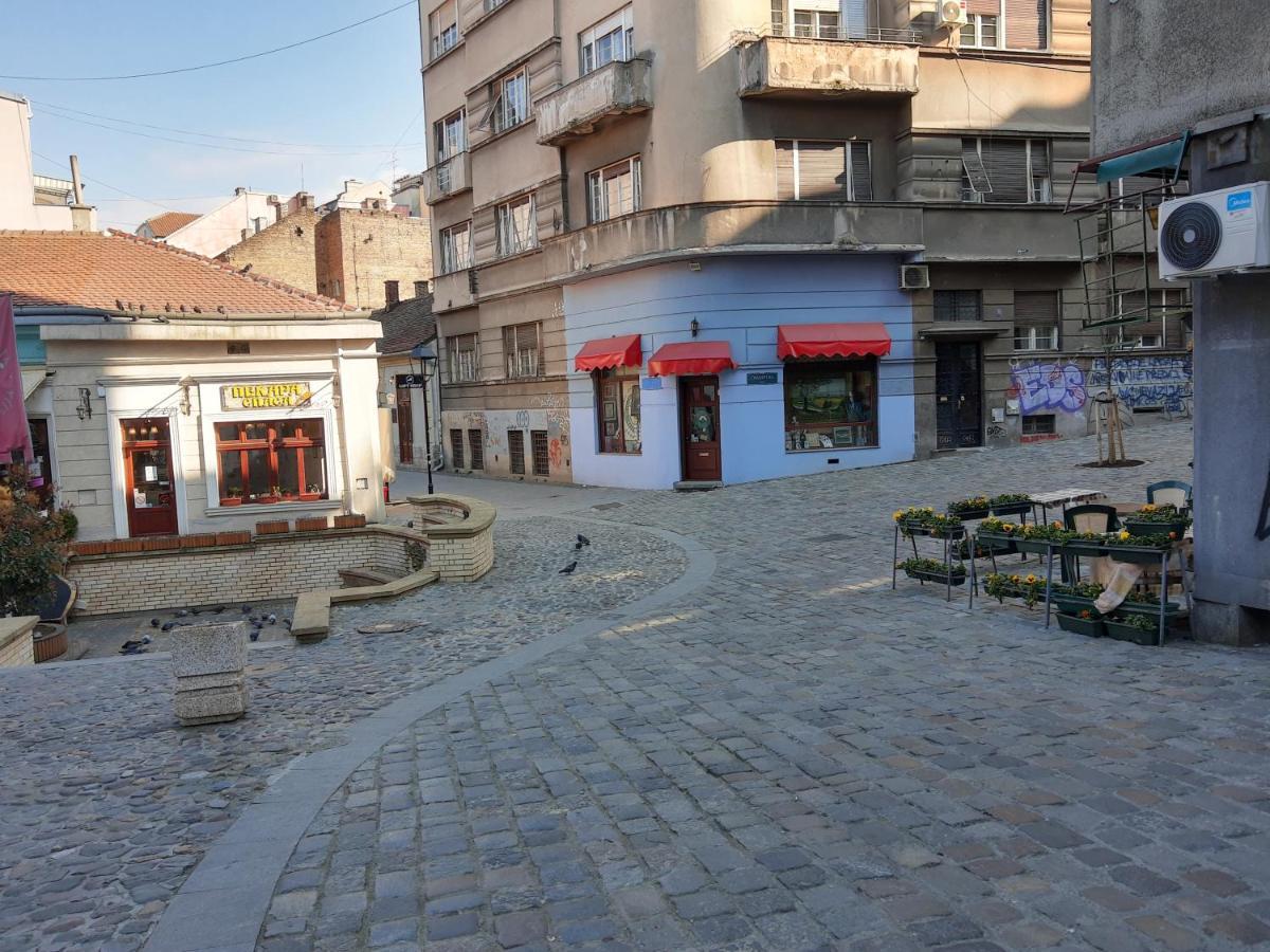 Apartment Africa Belgrad Dış mekan fotoğraf