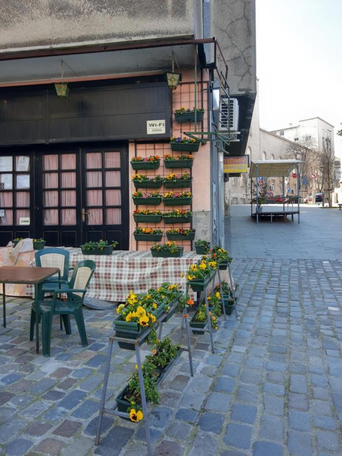 Apartment Africa Belgrad Dış mekan fotoğraf