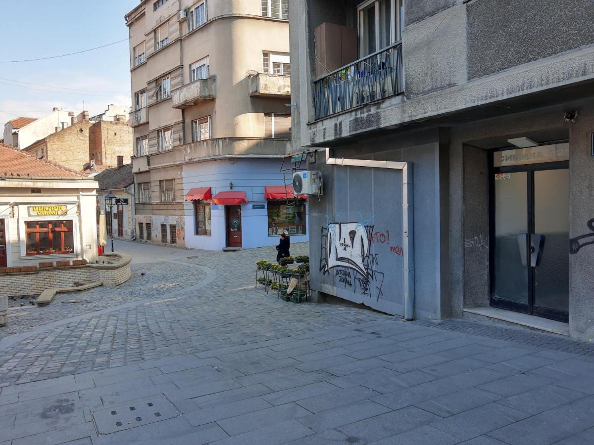Apartment Africa Belgrad Dış mekan fotoğraf